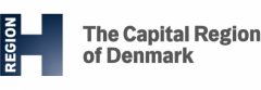 丹麦首都大区